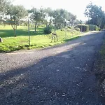 Al Sole Di 普拉