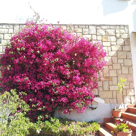 Bed & Breakfast Al Sole Di Pula